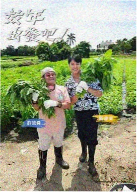 嵌合蚁篇：王宫决战氛围画面